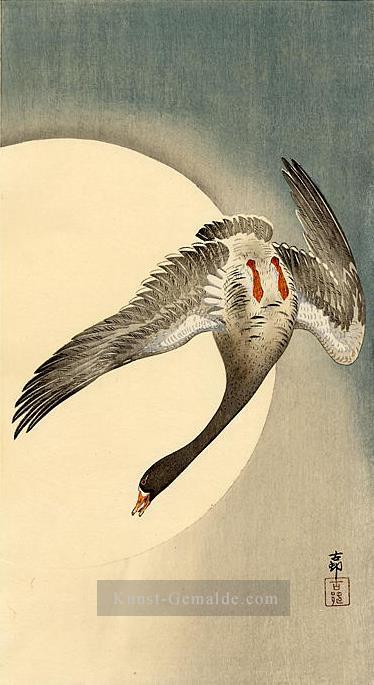 Fliegen weiße Gans von unten vor dem Mond Ohara Koson Japanisch gesehen Ölgemälde